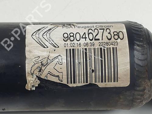 Left rear shock absorber PEUGEOT 208 I (CA_, CC_) 1.2 PureTech 82 | BP29696797M18