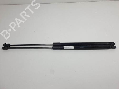 Used Tailgate lift support Tailgate lift support FIAT TIPO Hatchback (356_, 357_) 1.3 D (356HXH1A) (95 hp) 13956219 13956219
