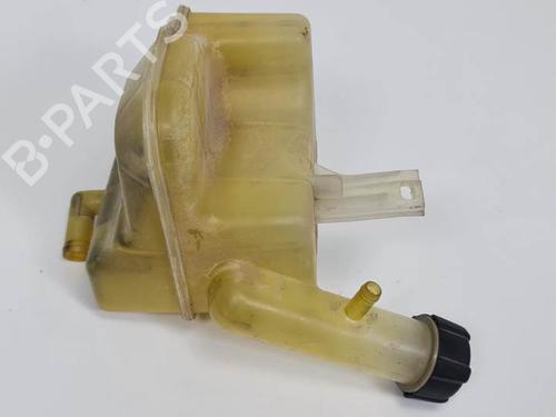 Expansion tank RENAULT LAGUNA II (BG0/1_) 2.0 16V (BG00, BG0K, BG0P, BG0W) | BP6860010C120 