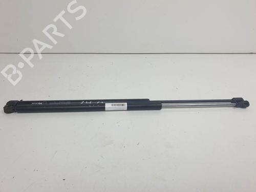 Used Hood lift support Hood lift support CITROËN EVASION MPV (22, U6) 2.0 16V (136 hp) 13954972 13954972