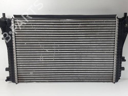 Ladeluftkühler VW PASSAT B6 Variant (3C5) 2.0 TDI | BP30049754M30 