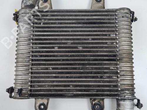 Used Intercooler Intercooler KIA CARNIVAL II (GQ) 2.9 TDi (126 hp) 27978059 27978059