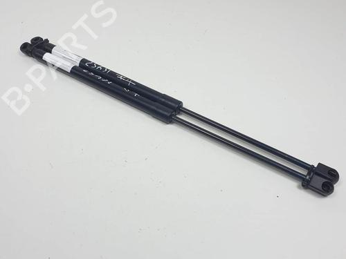 tailgate-lift-support-ford-focus-ii-convertible-2006-2007-2008-2009-2010-25119053 main image