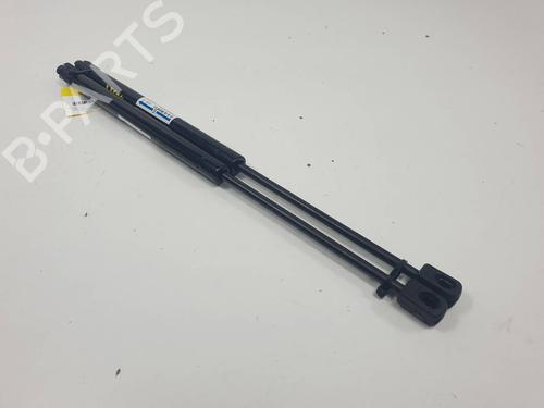 hood-lift-support-hyundai-santa-fe-ii-cm-2005-2006-2007-2008-2009-2010-2011-2012-2013-2014-2015-34611283 main image