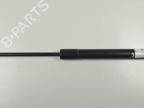 hood-lift-support-renault-clio-iv-bh_-2012-2013-2014-2015-2016-2017-2018-2019-2020-2021-24930310 main image