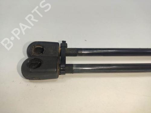 Tailgate lift support MERCEDES-BENZ M-CLASS (W163) ML 270 CDI (163.113) | BP13954668C138 