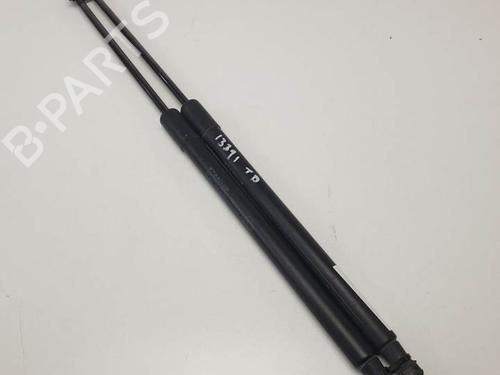Used Tailgate lift support NISSAN QASHQAI / QASHQAI +2 I (J10, NJ10, JJ10E) 2.0 dCi (150 hp) 21800798