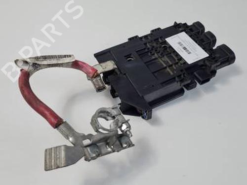 Modulo electronico RENAULT SCÉNIC III (JZ0/1_) 2.0 dCi (JZ0Y, JZ26) (150 hp) 30450655