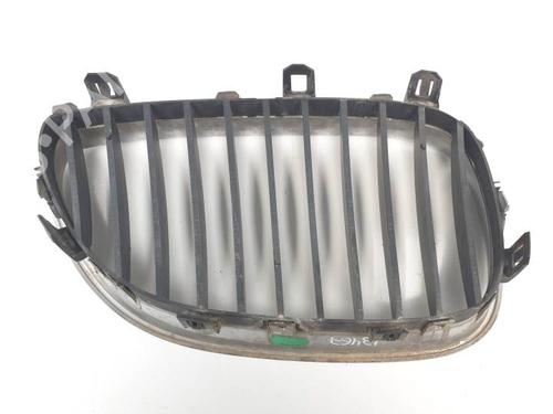 Grille BMW 5 (E60) 525 i | BP20670895C40 