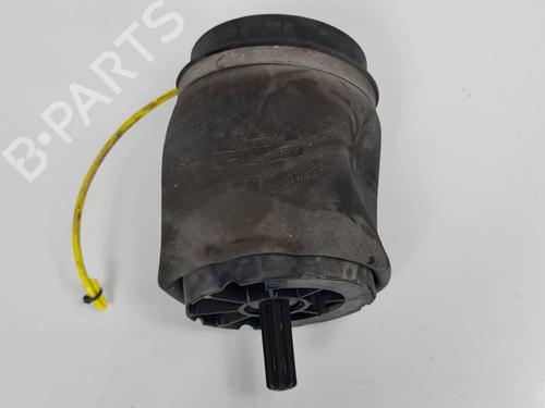 Støddæmperfjeder Støddæmperfjeder LAND ROVER RANGE ROVER III (L322) 4.2 4x4 (396 hp) 13954203 13954203