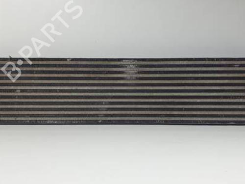 Used Intercooler FORD KUGA II (DM2) 2.0 TDCi 4x4 (163 hp) 30279144