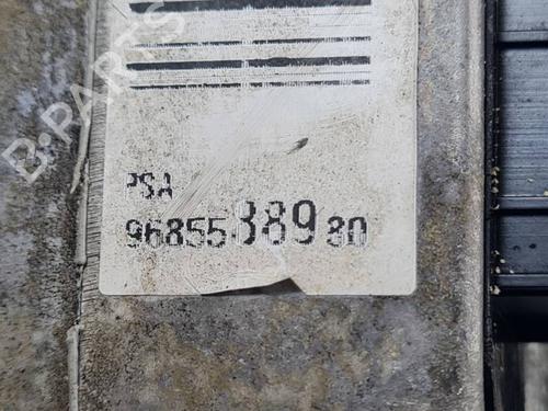 Steering pump PEUGEOT 307 SW (3H) 2.0 HDI 110 | BP30120217M99