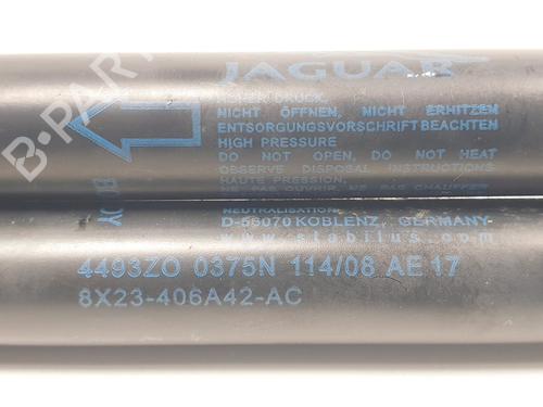 Tailgate lift support JAGUAR XF I (X250) 2.7 D | BP16653572C138 