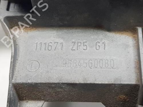 Rear left exterior door handle CITROËN C3 II (SC_) 1.4 HDi 70 (SC8HZC, SC8HR0, SC8HP4) | BP11507861C130 