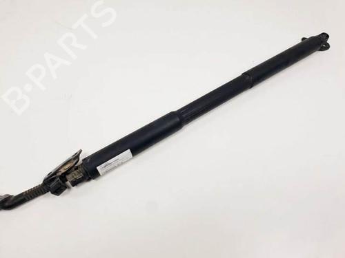 Used Tailgate lift support BMW 3 Touring (F31) 330 d (258 hp) 25145569
