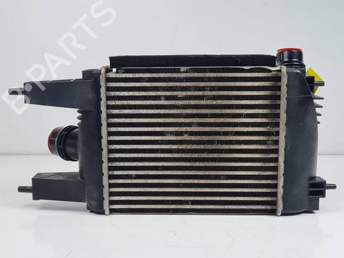 Intercooler NISSAN JUKE (F15) 1.2 DIG-T | BP29382309M30 