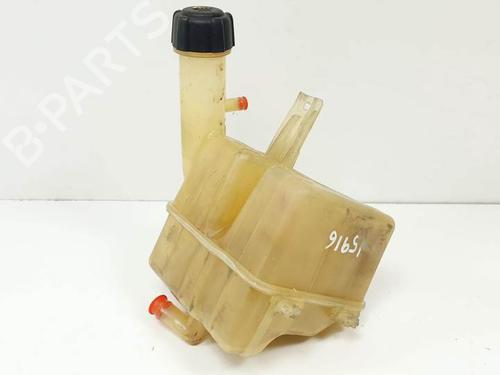 Used Expansion tank RENAULT LAGUNA II (BG0/1_) 1.6 16V (BG0A, BG0L) (107 hp) 25140102