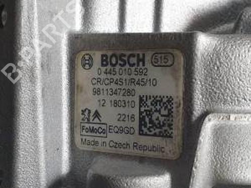 Engine FORD TOURNEO CONNECT / GRAND TOURNEO CONNECT V408 MPV  | BP17481213M1 