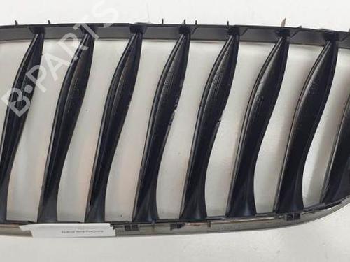 Grille BMW Z4 Roadster (E85) 2.2 i | BP25143702C40 