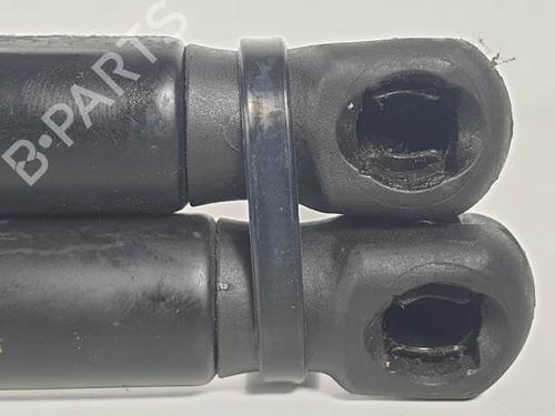 Tailgate lift support RENAULT MEGANE II Coupé-Cabriolet (EM0/1_) 1.9 dCi | BP13955623C138 