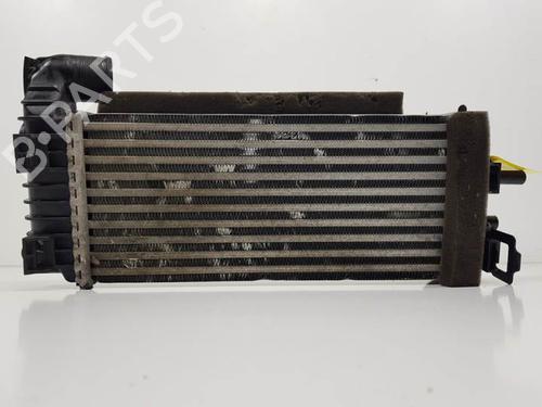 Intercooler FORD KUGA II (DM2)  | BP11698249M30 