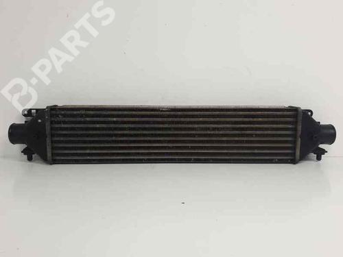 Used Intercooler FIAT BRAVO II (198_) 1.9 D Multijet (198AXB1A) (120 hp) 6852258