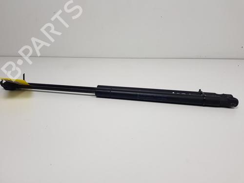 Vérin de coffre/hayon FORD FOCUS II (DA_, HCP, DP) 1.6 (100 hp) 13956043