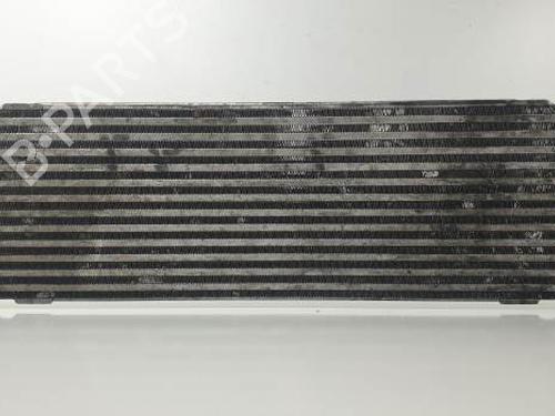 Used Intercooler RENAULT TRAFIC II Van (FL) 2.0 dCi 115 (FL01, FL0U) (114 hp) 25155260