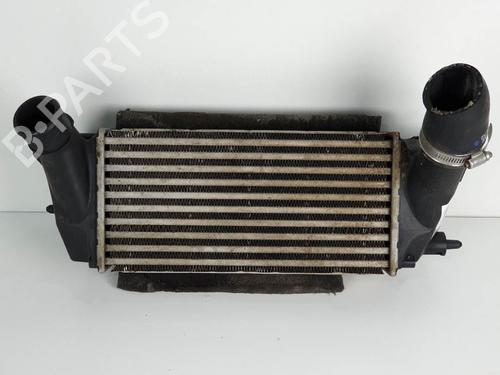 Intercooler FORD FIESTA VI (CB1, CCN) 1.0 EcoBoost (100 hp) 6839925