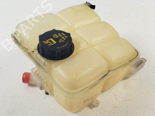 Used Expansion tank FORD TRANSIT CONNECT (P65_, P70_, P80_) 1.8 Di (75 hp) 29274817