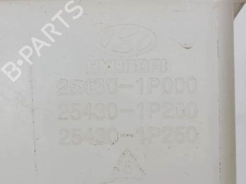 Expansion tank HYUNDAI ix20 (JC) 1.4 | BP8167835C120 