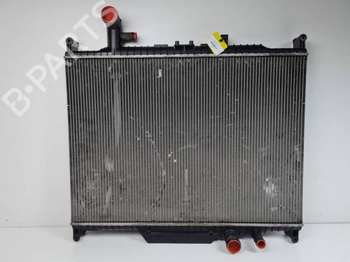 Køler LAND ROVER RANGE ROVER SPORT I (L320) 3.0 D 4x4 (245 hp) 29417079