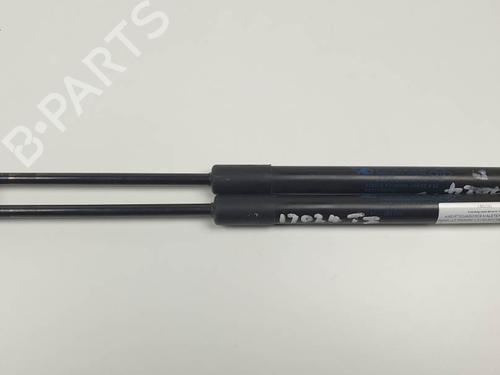 tailgate-lift-support-renault-twingo-ii-cn0_-2007-24499526 main image