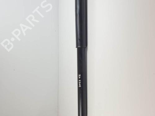 Used Left rear shock absorber Left rear shock absorber FORD FOCUS III 1.0 EcoBoost (125 hp) 25707031 25707031