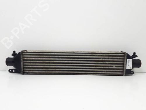 Used Intercooler FIAT BRAVO II (198_) 1.6 D Multijet (198AXH1B) (105 hp) 16435504