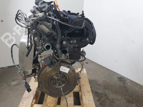Engine SEAT IBIZA II (6K1)  | BP10059806M1  - Image 9