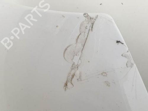 Left front fenders JAGUAR S-TYPE II (X200) 3.0 V6 | BP12358501C41 