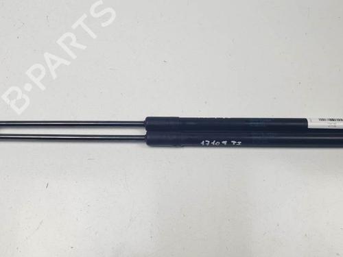 tailgate-lift-support-citroen-c4-cactus-2014-24914957 main image