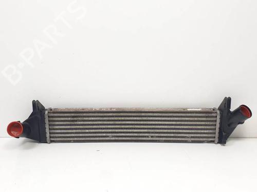 Used Intercooler DACIA SANDERO 1.5 dCi (68 hp) 25146083