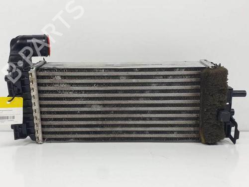 Intercooler FORD TOURNEO CONNECT / GRAND TOURNEO CONNECT V408 MPV  | BP17481199M30 