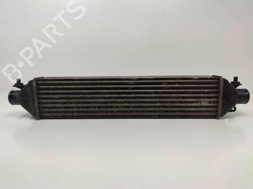 Used Intercooler Intercooler FIAT BRAVO II (198_) 1.6 D Multijet (198AXH1B) (105 hp) 9717189 9717189