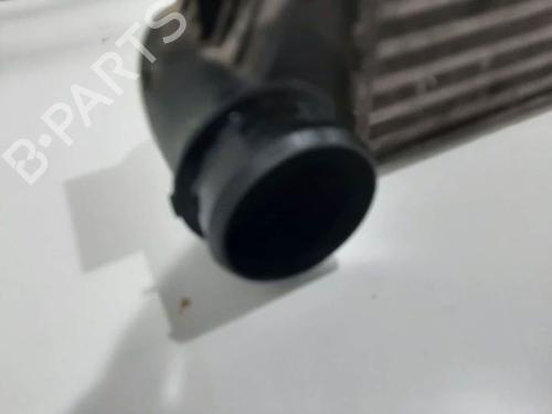 Intercooler BMW 7 (E38) 730 d | BP6842073M30 