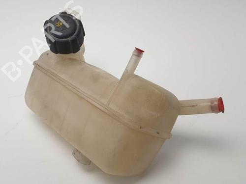 Used Expansion tank RENAULT MEGANE II (BM0/1_, CM0/1_) 1.4 16V (BM0B, CM0B) (98 hp) 25138681
