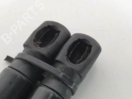 Tailgate lift support BMW 5 Touring (F11) 520 d | BP13954022C138 