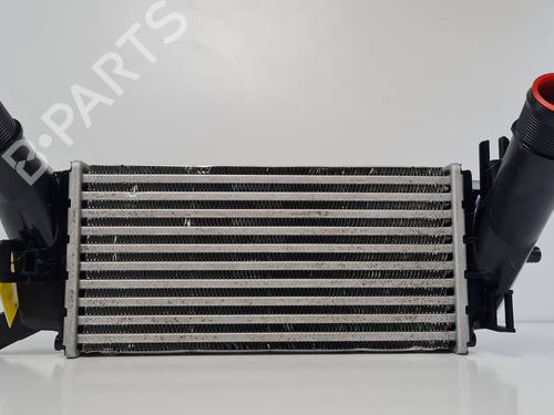 Intercooler Intercooler FORD ECOSPORT 1.0 EcoBoost (125 hp) 36290825 36290825