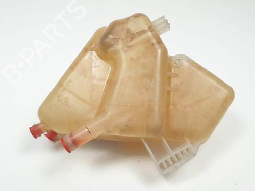 Expansion tank FORD FIESTA VI (CB1, CCN) 1.0 EcoBoost | BP25146053C120 