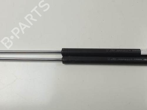 Used Tailgate lift support RENAULT LAGUNA II (BG0/1_) 2.0 dCi (BG1T) (150 hp) 29245667
