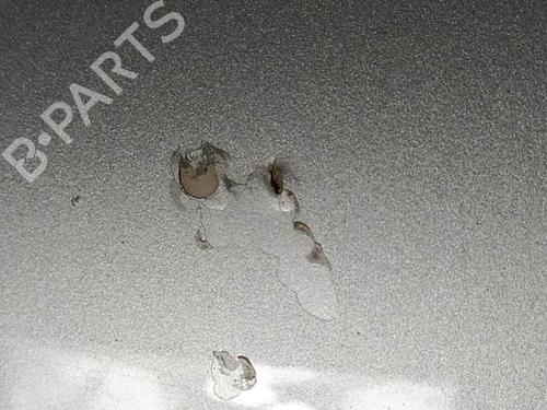 Hood OPEL VECTRA B (J96) 2.0 DTI 16V (F19) | BP7089928C1 