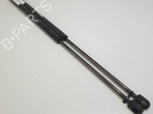 Gassdemper Bakluke FORD FOCUS C-MAX (DM2) 1.8 (125 hp) 29149304