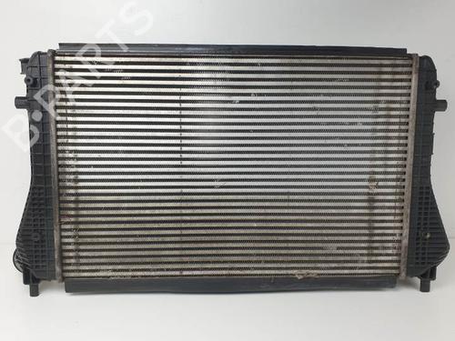 Used Intercooler VW GOLF PLUS V (5M1, 521) 1.6 TDI (105 hp) 25155069
